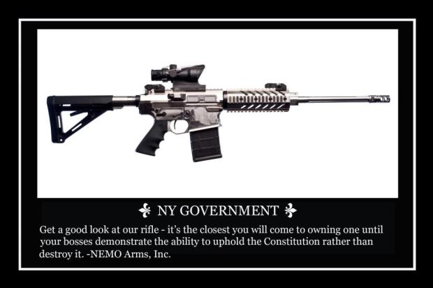 NY Govt Look At This Rifle